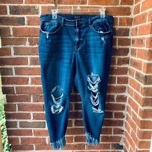 Judy Blue Women's Jeans 20W Blue Distressed Destroyed Skinny Ripped JB82141DK-PL